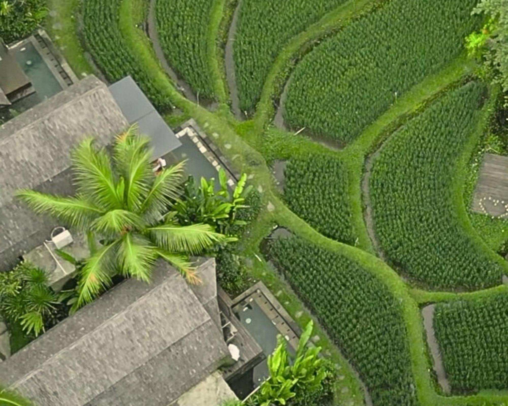 Menzel Ubud Exteriör bild